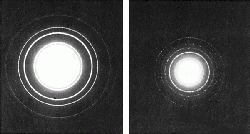 Click to expand SPI Supplies Diffraction Standard for Camera Length, Thallous chloride, TEM