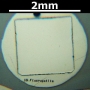 SPI Supplies Individual Mounted Microanalysis Standard Item, Minerals Group, Apatite