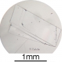 SPI Supplies Individual Mounted Microanalysis Standard Item, Minerals Group, Calcite