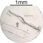 SPI Supplies Individual Mounted Microanalysis Standard Item, Minerals Group, Chlorite