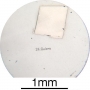 SPI Supplies Individual Mounted Microanalysis Standard Item, Minerals Group, Galena