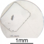 SPI Supplies Individual Mounted Microanalysis Standard Item, Minerals Group, Jadeite