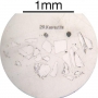 SPI Supplies Individual Mounted Microanalysis Standard Item, Minerals Group, Kaersutite