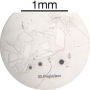 SPI Supplies Individual Mounted Microanalysis Standard Item, Minerals Group, Plagioclase