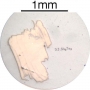 SPI Supplies Individual Mounted Microanalysis Standard Item, Synthetics Group, Antimony Telluride