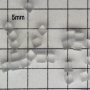 SPI Supplies Individual Loose Microanalysis Standard Item Synthetics Group Calcium Fluoride (alterna