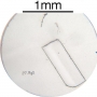 SPI Supplies Individual Mounted Microanalysis Standard Item, Synthetics Group, Magnesium Oxide