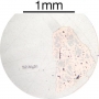 SPI Supplies Individual Mounted Microanalysis Standard Item, Synthetics Group, Nickel Silicide