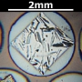 SPI Supplies Brand Standards For Microanalysis, Minerals CMTaylor Collection Biotite, Mounted