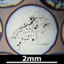 SPI Supplies Brand Standards For Microanalysis, Minerals CMTaylor Collection Cinnabar, Mounted