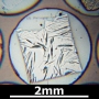 SPI Supplies Brand Standards For Microanalysis, Minerals CMTaylor Collection Phlogopite, Mounted