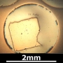 SPI Supplies Brand Standards For Microanalysis, Minerals CMTaylor Collection Pyrite, Mounted