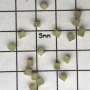 SPI Supplies Brand Standards For Microanalysis, Mineral CMTaylor Sphene, Unmounted Loose Grain