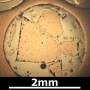 SPI Supplies Brand Standards For Microanalysis, Synthetic CMTaylor, Mercury Telluride, Mounted