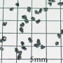 SPI Standards for Microanalysis, CMT, containing Silicon, Loose Standard Silicon Carbide