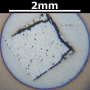 SPI Supplies Brand Standards For Microanalysis, Synthetic CMTaylor, Zinc Selenide, Mounted