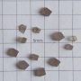 SPI Supplies  Brand Standards For Microanalysis, Glasses, CMTaylor, K-0251, Unmounted Loose Grain