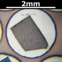 SPI Supplies Brand Standards For Microanalysis, NIST, CMTaylor, SRM-1131 Solder Sn40Pb60, Mounted