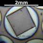 SPI Supplies Brand Standards For Microanalysis, NIST, CMTaylor, SRM-1208-1 Inco 718, Mounted