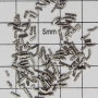 SPI Supplies  Brand Standards For Microanalysis, NIST, CMTaylor, SRM-160b Stainless Steel, Loose