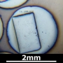 SPI Supplies Brand Standards For Microanalysis, NIST, CMTaylor, SRM-612 Trace Element Glass, Mounted