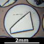 SPI Supplies Brand Standards For Microanalysis, NIST, CMTaylor, SRM-614 Trace Element Glass, Mounted