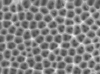 Click to expand Anodic Aluminum Oxide Anisotropic membrane filters, 10nm pore, 13mm dia, pk20 - - alt view 1