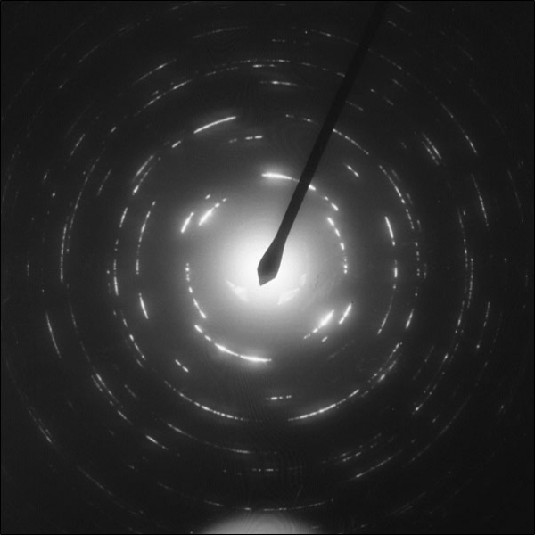 Click to expand SPI Aluminum Thin-Sectioned Metal Foil Standard for AEM/EDS on Nickel Grid