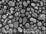 Click to expand SPI Supplies Brand Gold-on-Carbon SEM Resolution Test Specimen, Large only on 1506 Mount