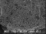Click to expand SPI Supplies Brand Gold-on-Carbon SEM Resolution Test Specimen, Small only on 1506 Mount
